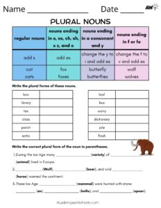 irregular nouns worksheet